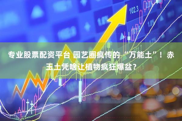 专业股票配资平台 园艺圈疯传的 “万能土”！赤玉土凭啥让植物疯狂爆盆？