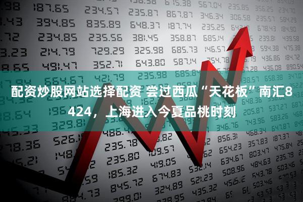 配资炒股网站选择配资 尝过西瓜“天花板”南汇8424，上海进入今夏品桃时刻