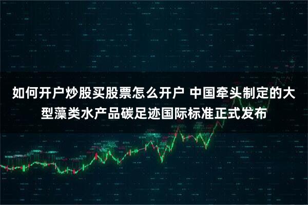 如何开户炒股买股票怎么开户 中国牵头制定的大型藻类水产品碳足迹国际标准正式发布