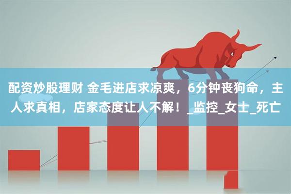 配资炒股理财 金毛进店求凉爽，6分钟丧狗命，主人求真相，店家态度让人不解！_监控_女士_死亡