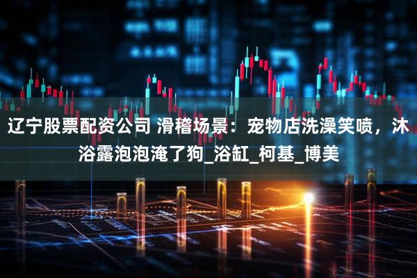 辽宁股票配资公司 滑稽场景：宠物店洗澡笑喷，沐浴露泡泡淹了狗_浴缸_柯基_博美