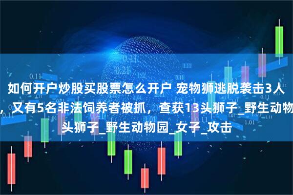 如何开户炒股买股票怎么开户 宠物狮逃脱袭击3人！主人被捕后，又有5名非法饲养者被抓，查获13头狮子_野生动物园_女子_攻击