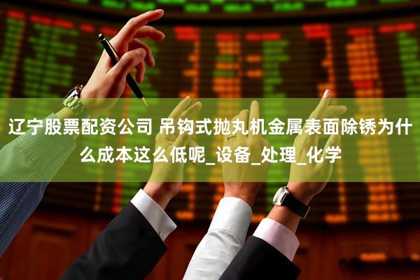 辽宁股票配资公司 吊钩式抛丸机金属表面除锈为什么成本这么低呢_设备_处理_化学