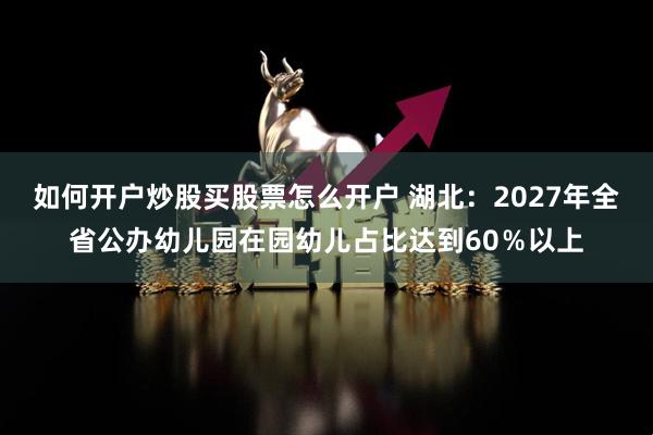 如何开户炒股买股票怎么开户 湖北：2027年全省公办幼儿园在园幼儿占比达到60％以上