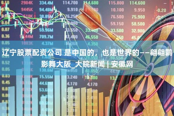 辽宁股票配资公司 是中国的，也是世界的——翩翩鹮影舞大阪_大皖新闻 | 安徽网