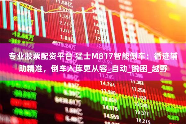 专业股票配资平台 猛士M817智能倒车：循迹辅助精准，倒车入库更从容_自动_脱困_越野