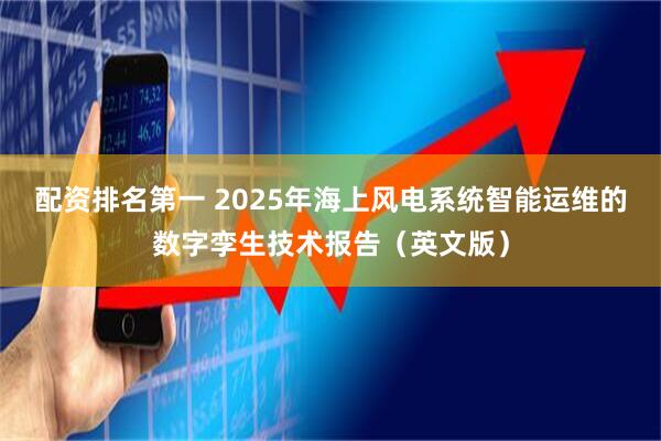 配资排名第一 2025年海上风电系统智能运维的数字孪生技术报告（英文版）