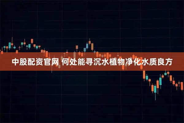 中股配资官网 何处能寻沉水植物净化水质良方